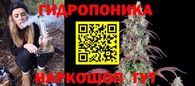 гидра Новодвинск