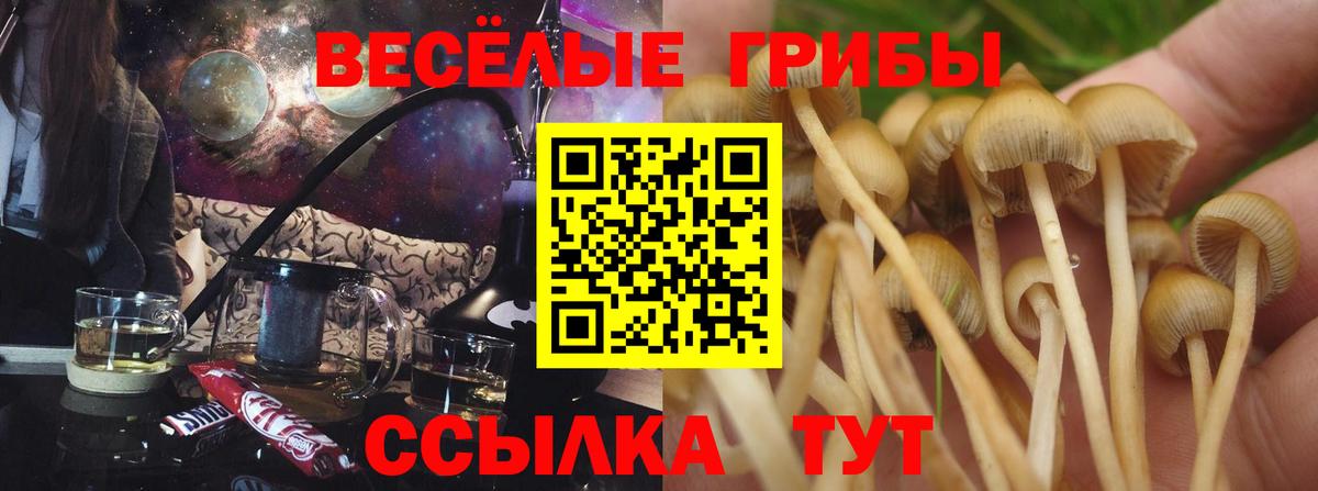 МАРИХУАНА Химки
